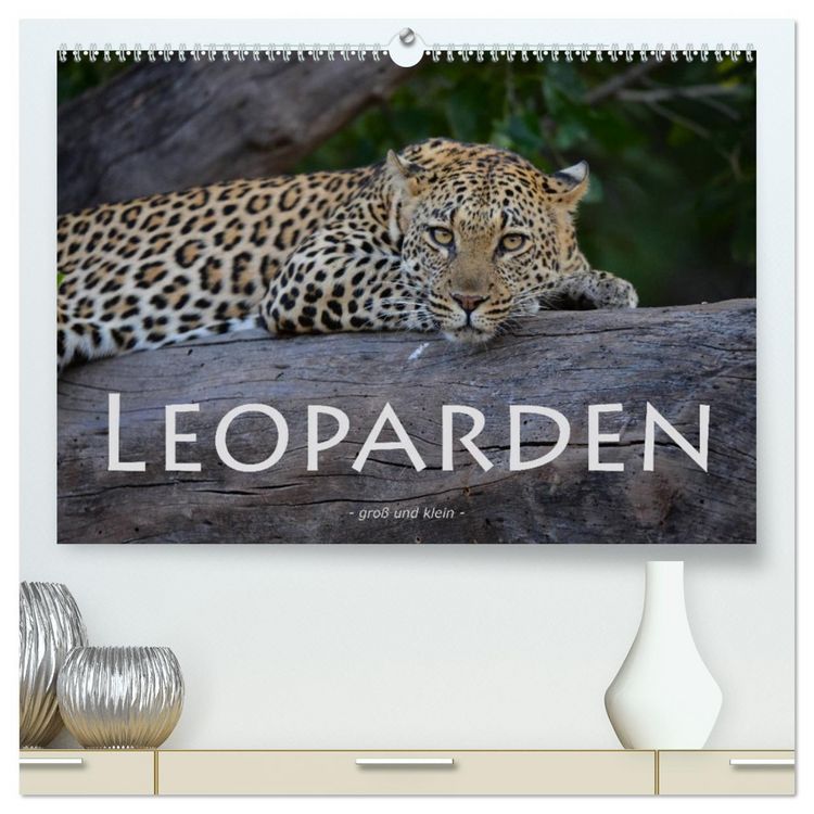 Produktbild: Leoparden - gro&szlig; und klein (hochwertiger Premium Wandkalender 2026 DIN A2 quer), Kunstdruck in Hochglanz