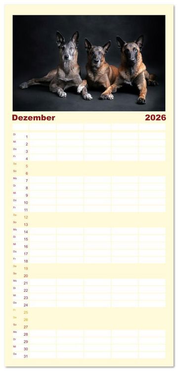 Produktbild: Familienplaner 2026 - Traumhund Malinois mit 5 Spalten (Wandkalender, 21 x 45 cm) CALVENDO