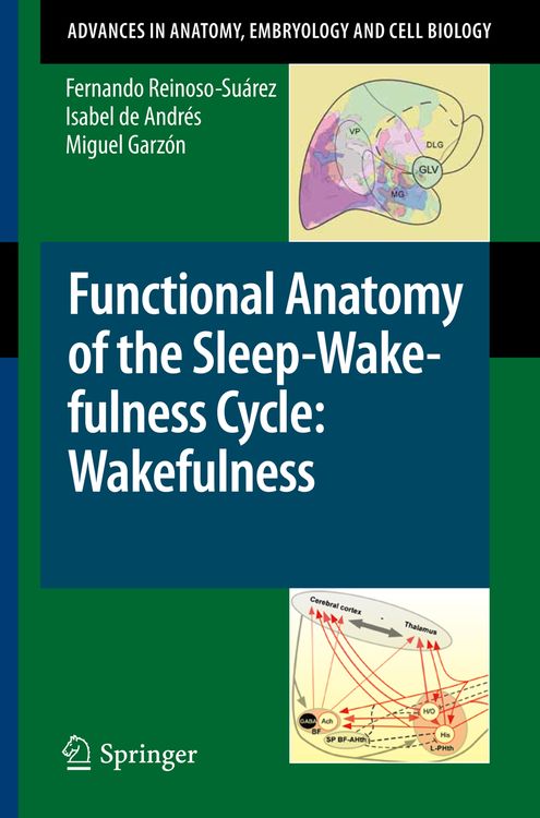 Produktbild: Functional Anatomy of the Sleep-Wakefulness Cycle: Wakefulness