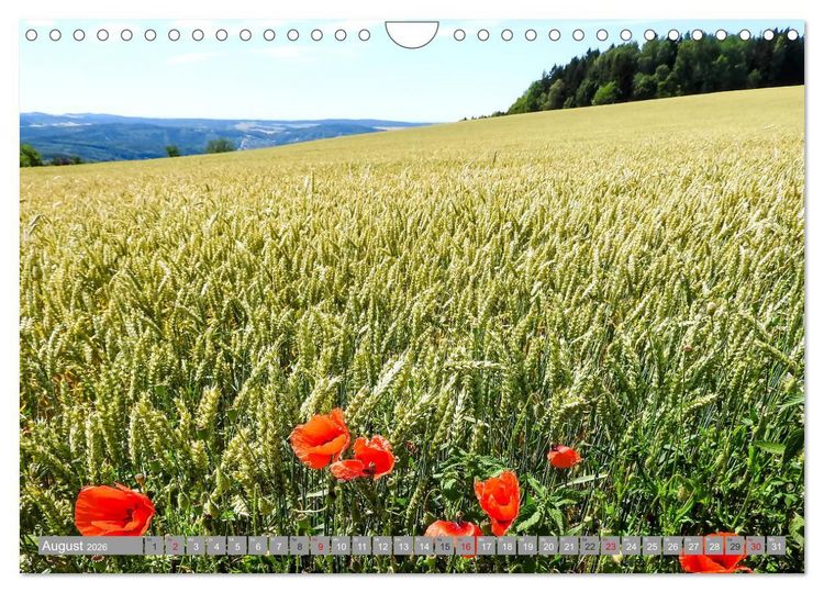 Produktbild: Wandern im Erzgebirge (Wandkalender 2026 DIN A4 quer), CALVENDO Monatskalender