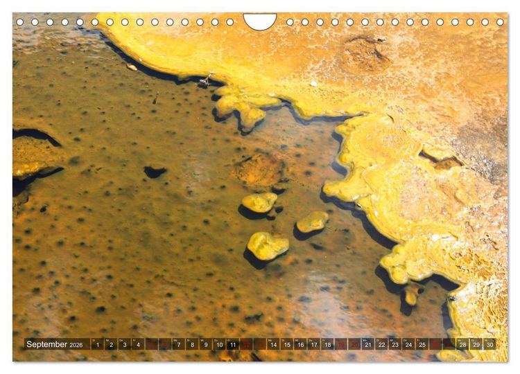 Produktbild: Farben des Yellowstone National Park 2026 (Wandkalender 2026 DIN A4 quer), CALVENDO Monatskalender