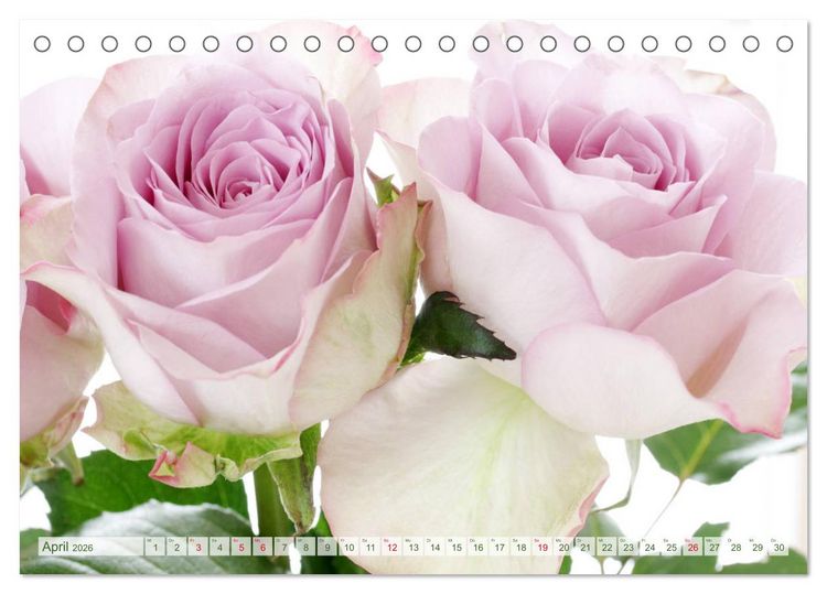 Produktbild: So viele sch&ouml;ne Rosen (Tischkalender 2026 DIN A5 quer), CALVENDO Monatskalender