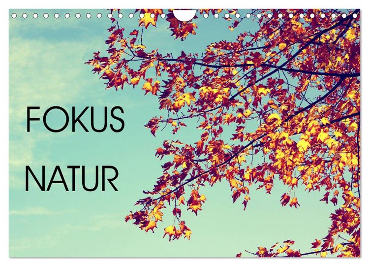 Produktbild: Focus Natur (Wandkalender 2026 DIN A4 quer), CALVENDO Monatskalender