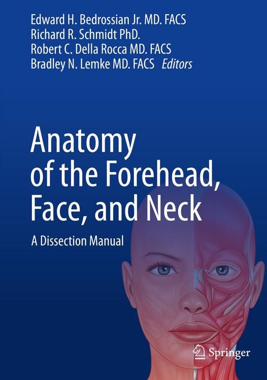 Produktbild: Anatomy of the Forehead, Face, and Neck