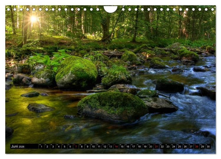 Produktbild: Harz Landschaften (Wandkalender 2026 DIN A4 quer), CALVENDO Monatskalender