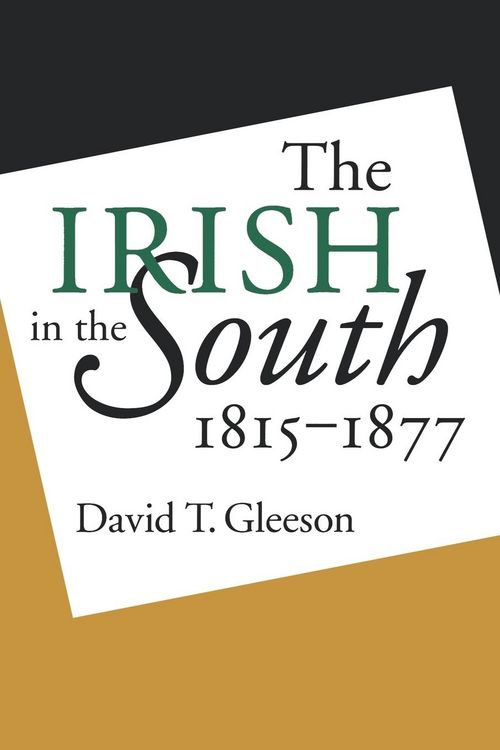 Produktbild: The Irish in the South, 1815-1877
