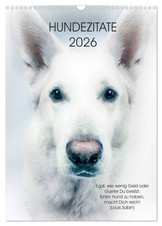 Produktbild: Hundezitate 2026 (Wandkalender 2026 DIN A3 hoch), CALVENDO Monatskalender