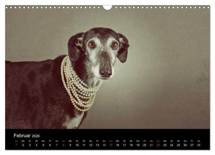 Produktbild: Der Windhundekalender (Wandkalender 2026 DIN A3 quer), CALVENDO Monatskalender