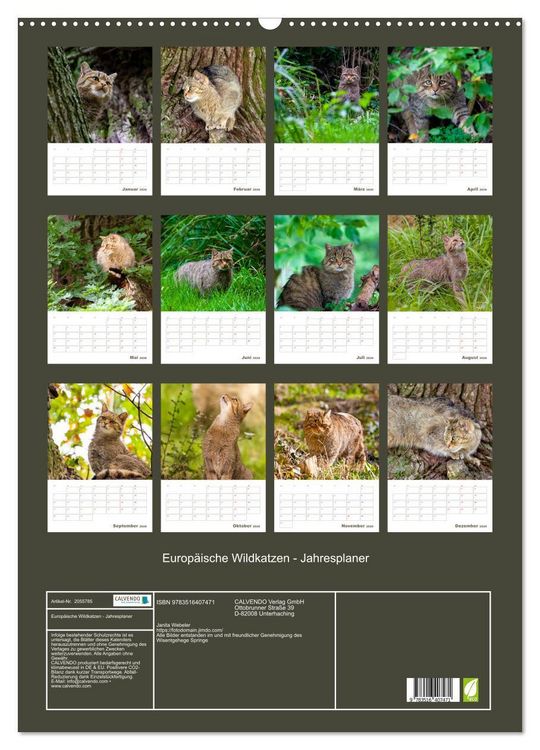 Produktbild: Europ&auml;ische Wildkatzen - Jahresplaner (Wandkalender 2026 DIN A2 hoch), CALVENDO Monatskalender
