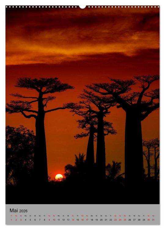 Produktbild: MADAGASKAR: Baobabs, Lemuren, Naturwunder (hochwertiger Premium Wandkalender 2026 DIN A2 hoch), Kunstdruck in Hochglanz