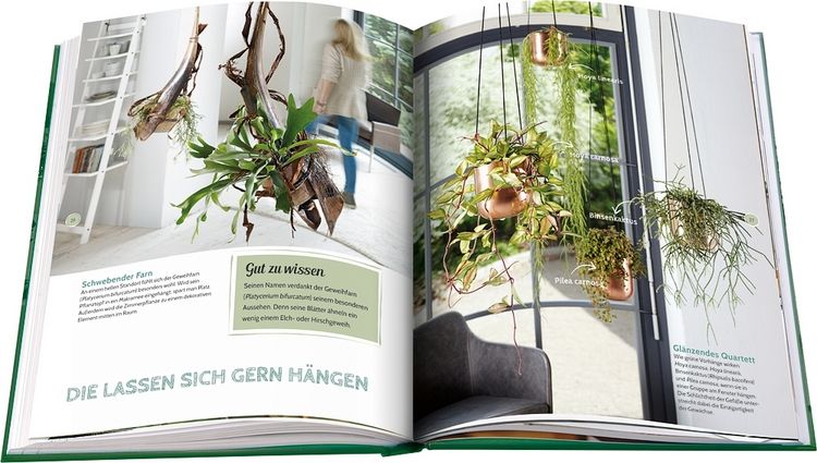 Produktbild: Pflanzen ganz privat