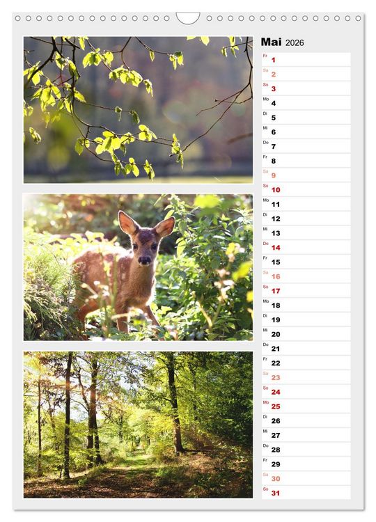 Produktbild: Zauberhafte Farben der Natur (Wandkalender 2026 DIN A3 hoch), CALVENDO Monatskalender