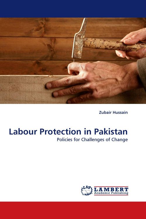 Produktbild: Labour Protection in Pakistan