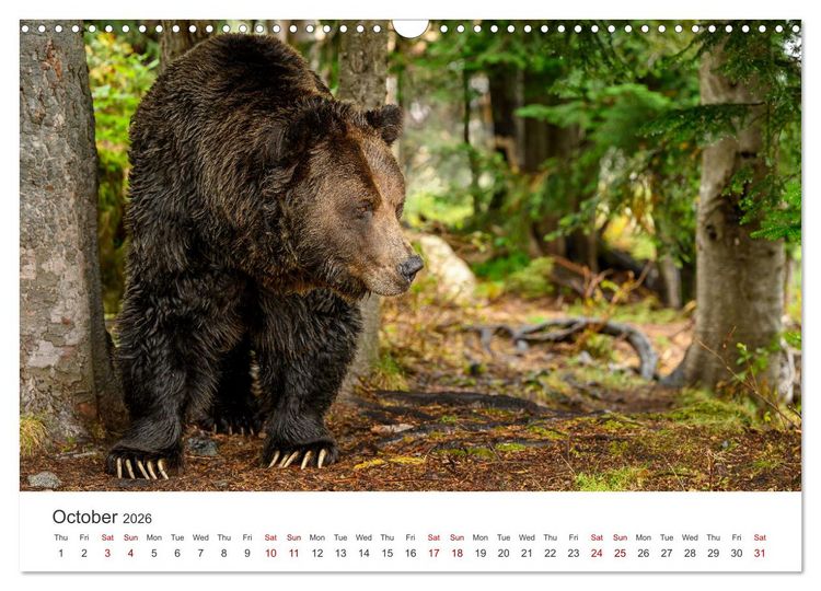 Produktbild: Wild Canada (Wall Calendar 2026 DIN A3 landscape), CALVENDO 12 Month Wall Calendar