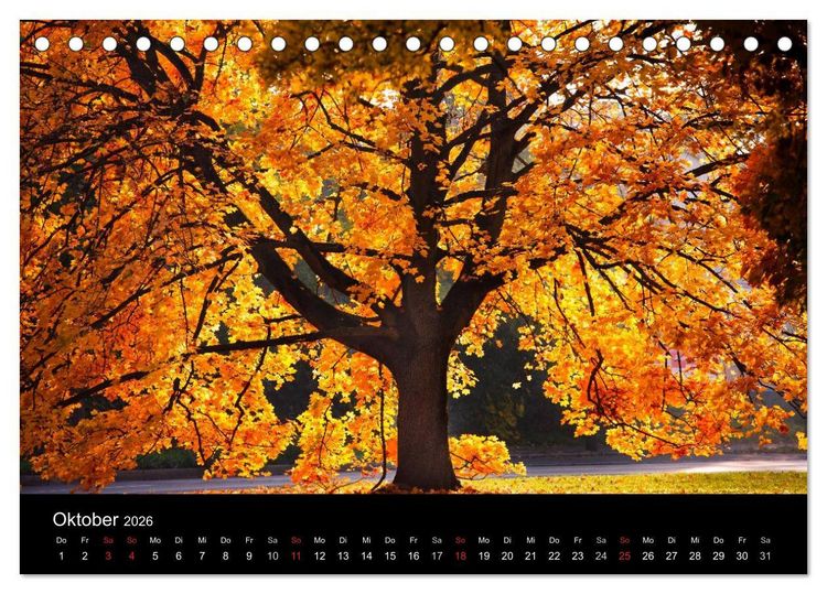 Produktbild: Farben der Natur (Tischkalender 2026 DIN A5 quer), CALVENDO Monatskalender