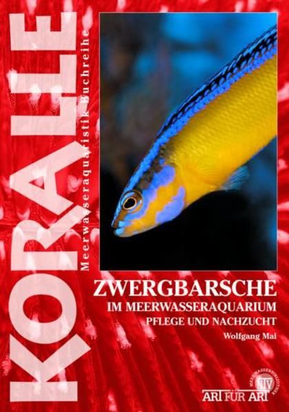 Produktbild: Zwergbarsche im Meerwasseraquarium