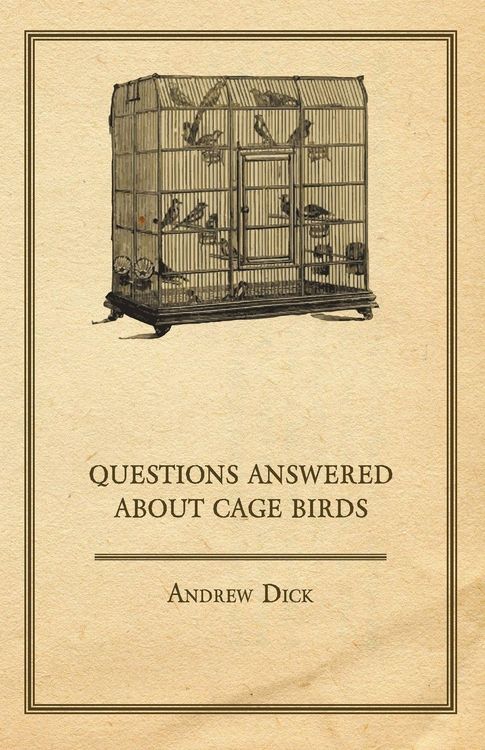 Produktbild: Questions Answered about Cage Birds