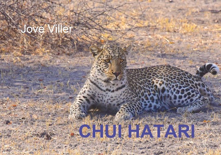 Produktbild: Chui Hatari