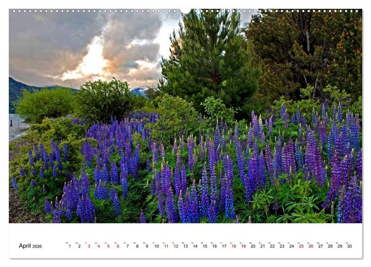 Produktbild: Faszinierendes Patagonien (hochwertiger Premium Wandkalender 2026 DIN A2 quer), Kunstdruck in Hochglanz