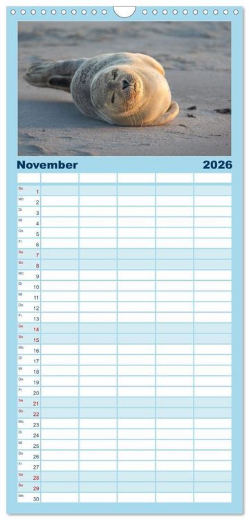 Produktbild: Familienplaner 2026 - Junge Kegelrobben mit 5 Spalten (Wandkalender, 21 x 45 cm) CALVENDO