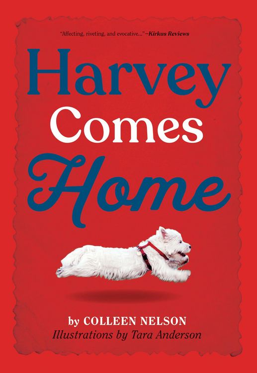 Produktbild: Harvey Comes Home