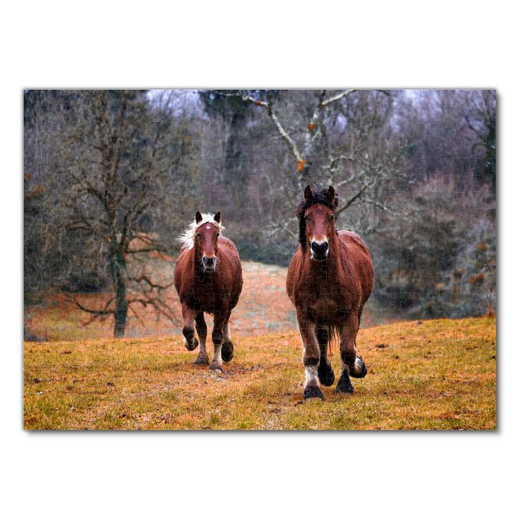 Produktbild: Lais Puzzle Pferde 500 Teile
