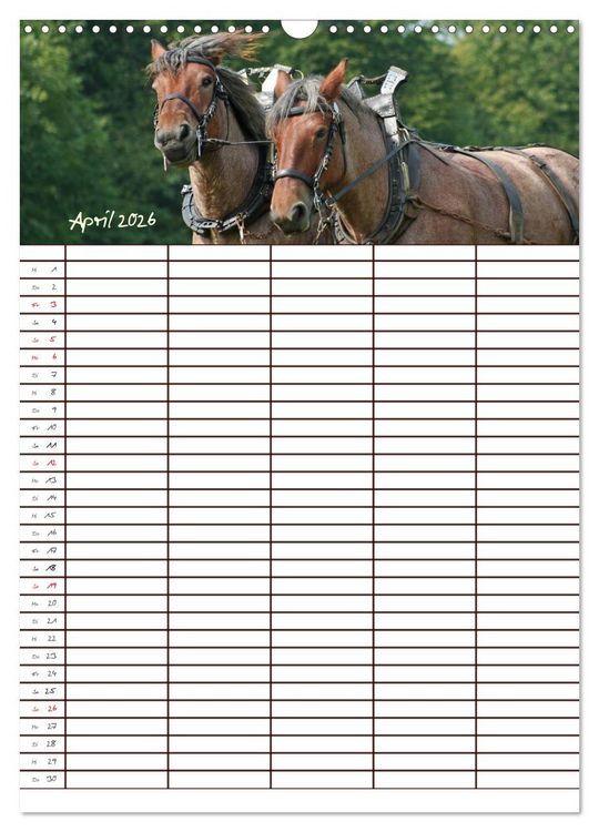 Produktbild: Der Kaltblut-Familienplaner (Wandkalender 2026 DIN A3 hoch), CALVENDO Monatskalender