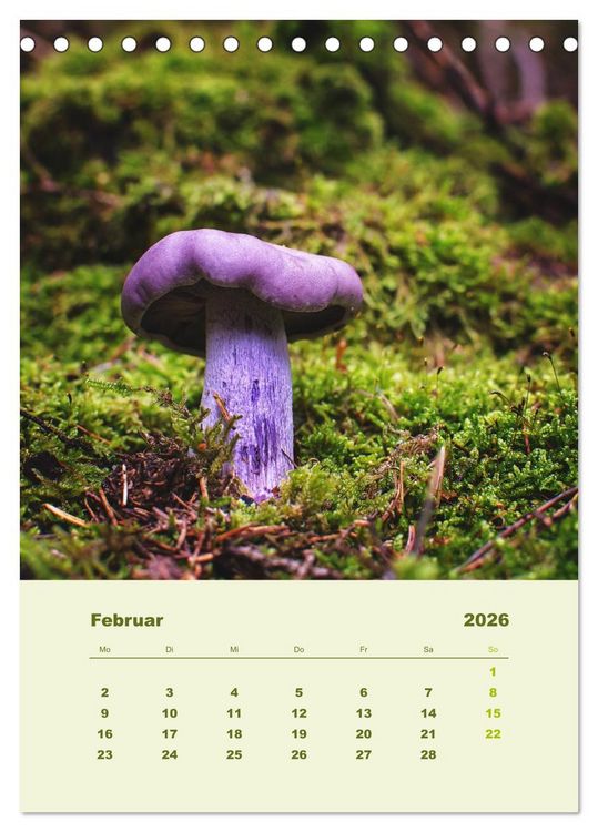 Produktbild: Wundersame Welt der Pilze (Tischkalender 2026 DIN A5 hoch), CALVENDO Monatskalender