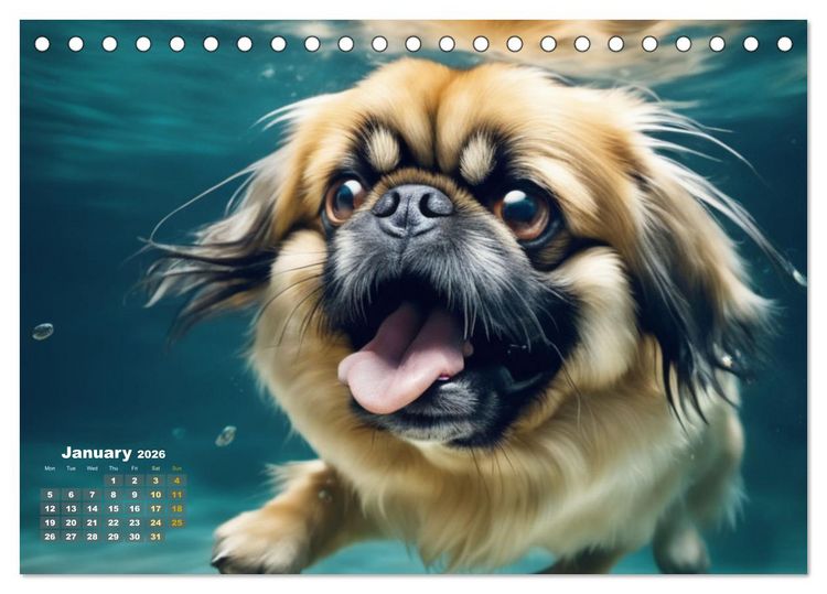 Produktbild: Dogs: intrepid swimmers (Desk Calendar 2026 DIN A5 landscape), CALVENDO 12 Month DeskCalendar