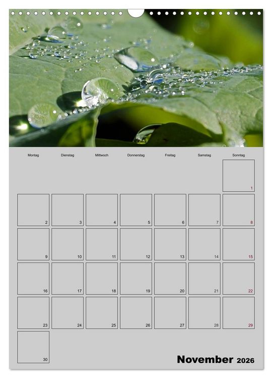 Produktbild: Zeitgewinn (Mein Terminplaner) (Wandkalender 2026 DIN A3 hoch), CALVENDO Monatskalender