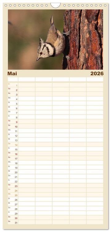 Produktbild: Familienplaner 2026 - V&ouml;gel ganz nah mit 5 Spalten (Wandkalender, 21 x 45 cm) CALVENDO
