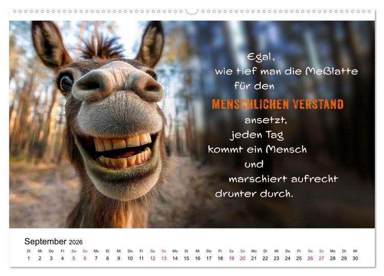 Produktbild: Tierische Klugschei&szlig;er (hochwertiger Premium Wandkalender 2026 DIN A2 quer), Kunstdruck in Hochglanz