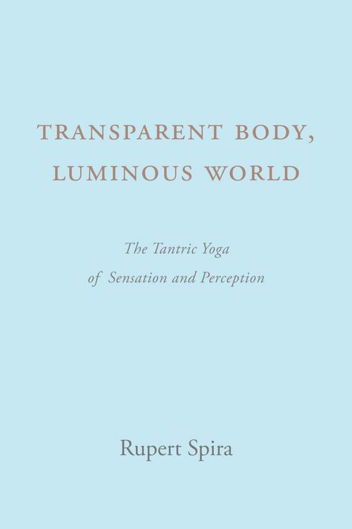 Produktbild: Transparent Body, Luminous World