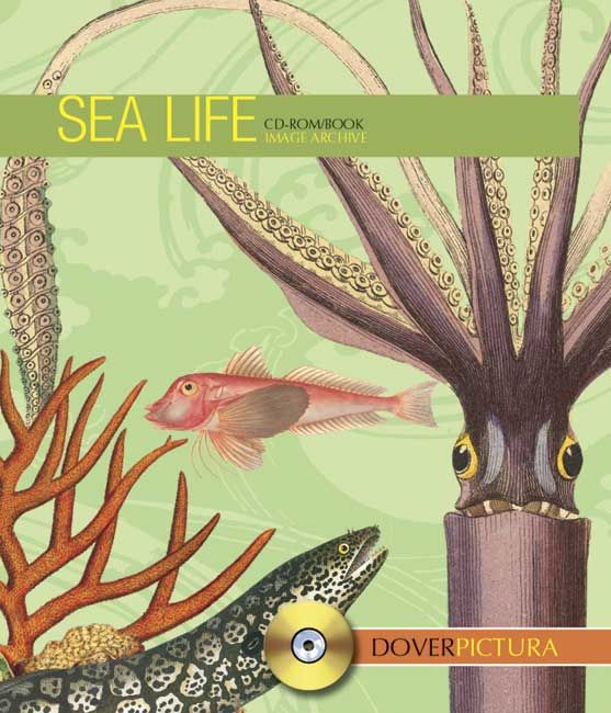 Produktbild: Sea Life