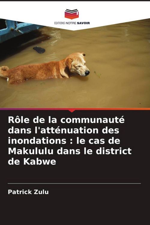 Produktbild: R&ocirc;le de la communaut&eacute; dans l'att&eacute;nuation des inondations : le cas de Makululu dans le district de Kabwe
