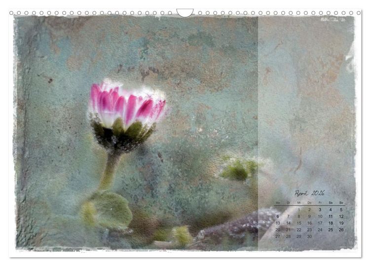 Produktbild: Bl&uuml;te trifft auf Aquarell (Wandkalender 2026 DIN A3 quer), CALVENDO Monatskalender