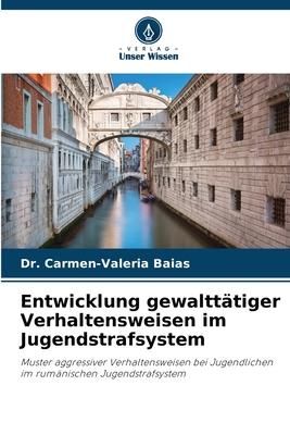 Produktbild: Entwicklung gewaltt&auml;tiger Verhaltensweisen im Jugendstrafsystem