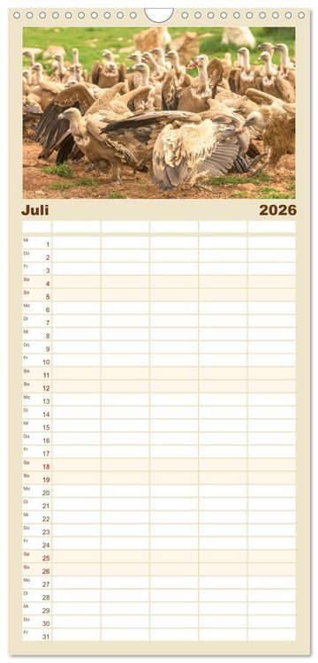Produktbild: Familienplaner 2026 - Die Geier sind los mit 5 Spalten (Wandkalender, 21 x 45 cm) CALVENDO