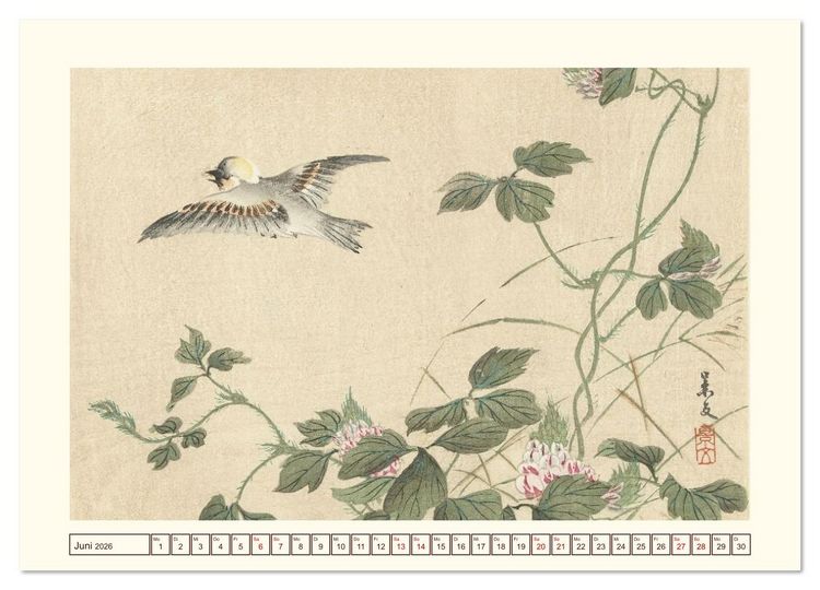 Produktbild: Bl&uuml;te und Feder (Wandkalender 2026 DIN A2 quer), CALVENDO Monatskalender
