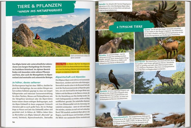 Produktbild: Marco Polo Outdoor Guide Reisef&uuml;hrer Allg&auml;u