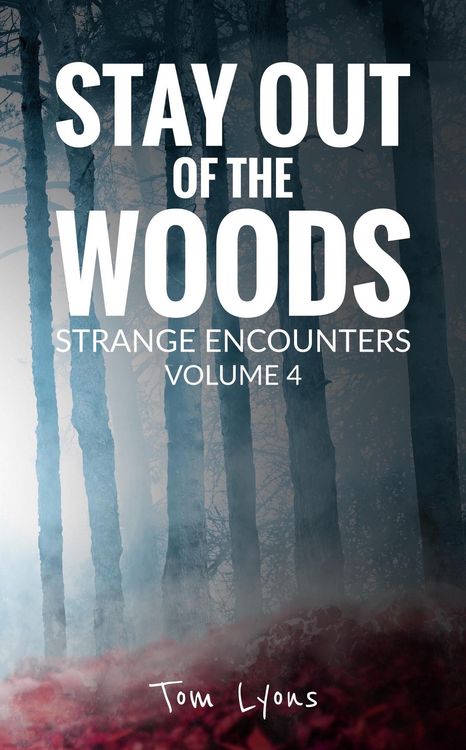 Produktbild: Stay Out of the Woods: Strange Encounters, Volume 4