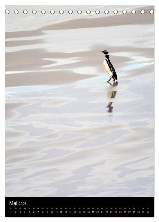 Produktbild: Hallo Pinguin (Tischkalender 2026 DIN A5 hoch), CALVENDO Monatskalender
