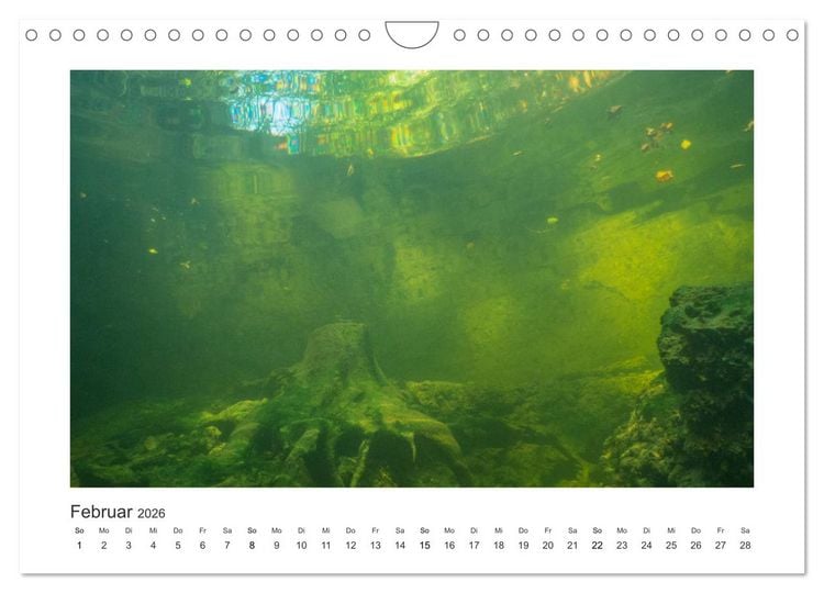 Produktbild: Unter Wasser in B&auml;chen und Fl&uuml;ssen (Wandkalender 2026 DIN A4 quer), CALVENDO Monatskalender