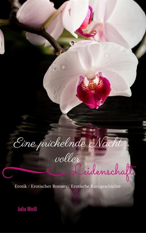 Produktbild: Eine prickelnde Nacht voller Leidenschaft Erotik / Erotischer Roman / Erotische Kurzgeschichte
