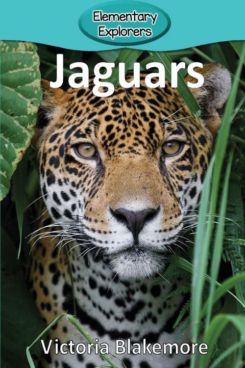 Produktbild: Jaguars