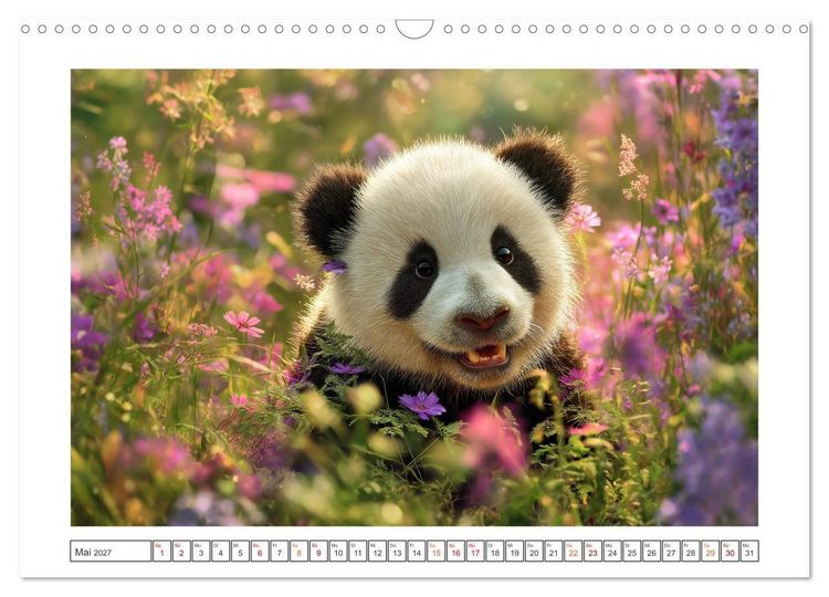 Produktbild: Panda Magie (Wandkalender 2027 DIN A3 quer), CALVENDO Monatskalender