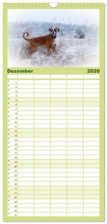 Produktbild: Familienplaner 2026 - Wenn ich gro&szlig; bin werd' ich Boxer mit 5 Spalten (Wandkalender, 21 x 45 cm) CALVENDO