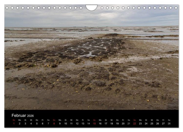 Produktbild: Pellworm 2026 (Wandkalender 2026 DIN A4 quer), CALVENDO Monatskalender