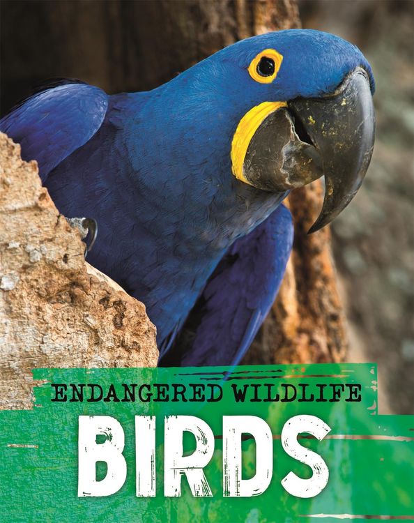 Produktbild: Ganeri, A: Endangered Wildlife: Rescuing Birds