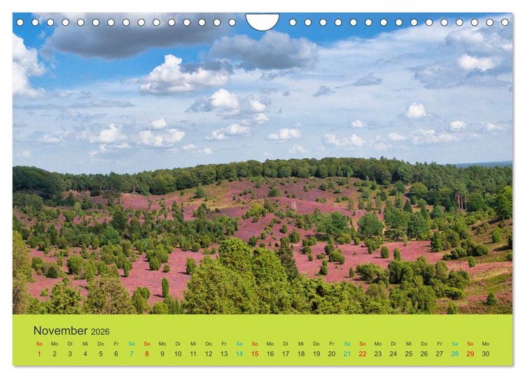 Produktbild: Die Heide bl&uuml;ht (Wandkalender 2026 DIN A4 quer), CALVENDO Monatskalender